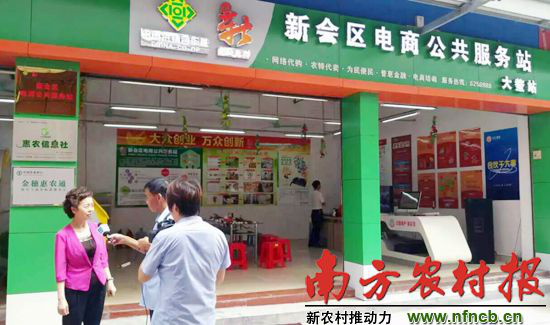 省农业厅副厅长调研新会区电商公共服务站大鳌