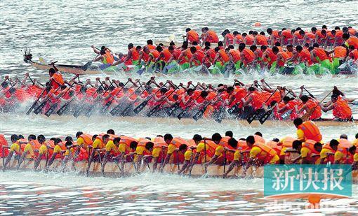 ■传统龙舟组人多速度快，极具观赏性。