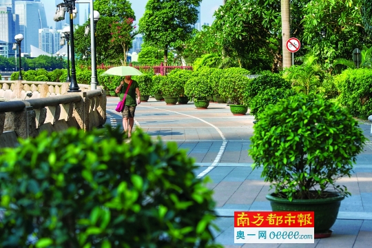 滨江东路珠江边，大量栽种了灌木的花盆被摆放在人行道和自行车道上。南都记者 梁炜培 摄