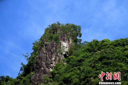 马洋村边的黄兰大峡谷是一片亘古荒僻的“处女地”，这里山林葱郁，竹海绵延，岩奇洞幽，涧水潺潺。青山绿水间，猕猴、山麂、豹子、山羊、豪猪等珍禽异兽出没林区。漫步其间，奇观迭出，令人流连忘返。　何家进　摄