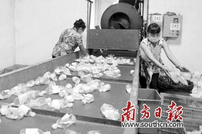 进入机械化加工的可回收医废。梁维春 摄