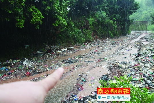 大量垃圾被倒在山林的路上，恶臭熏人。 南都记者 高贵彬 摄