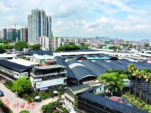 岭南花卉市场现状。广州日报记者曾卫康 通讯员郑斌摄