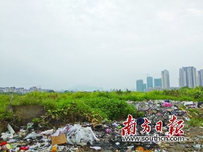 隆生集团2014年拍得的地块至今“静悄悄”。 张峰 摄
