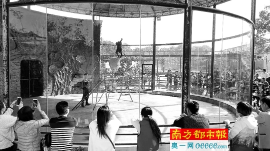  惠东永记生态园。南都记者黎秀敏摄