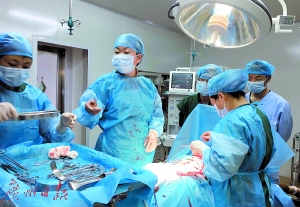 广州医生在剖宫产手术中。 广州日报记者邱伟荣 通讯员王海芳 摄