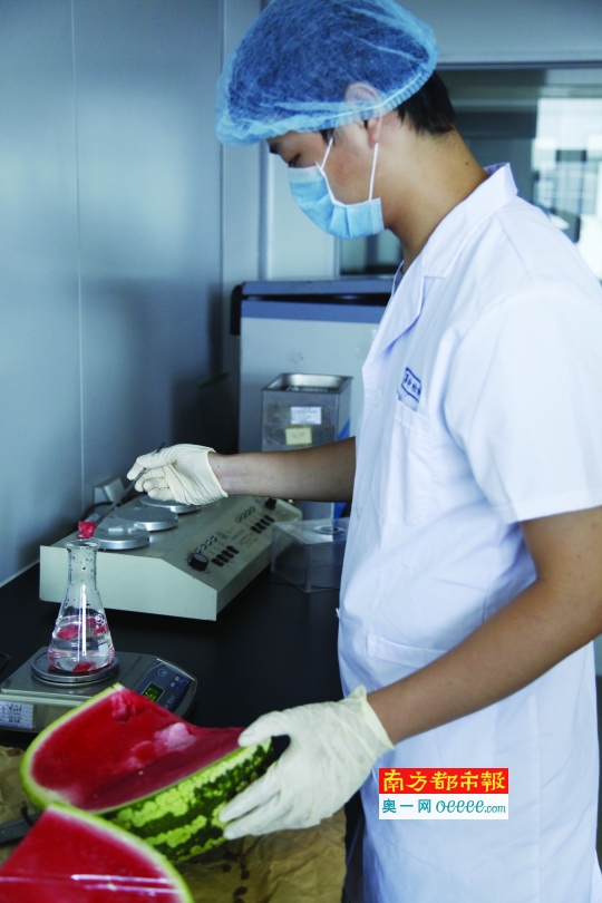 工作人员正在把西瓜取样后放进盐水里进行试验。