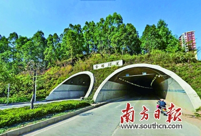 金榜隧道没有专门的人行道存在安全隐患。王昌辉 摄