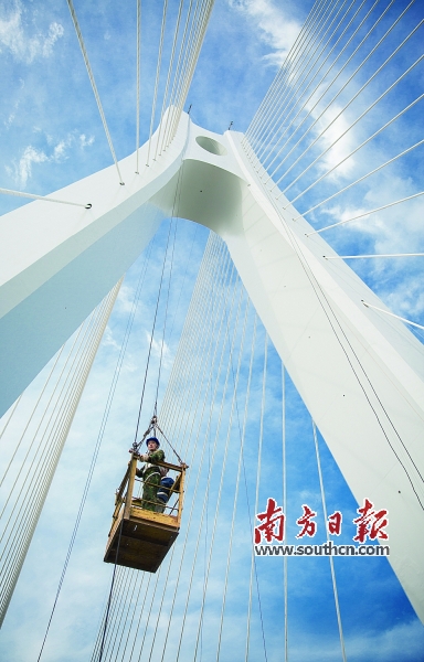 中山港大桥新桥采用斜拉式结构。 潘晓佳 摄