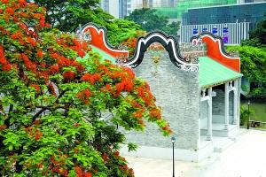 文沙公园，鲜红的凤凰花，映衬着水上关帝庙的红墙绿瓦。