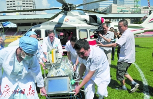 “多病”男婴从汕头乘“空中120”到广州接受治疗。广州日报记者 乔军伟 摄 （资料图片）
