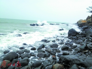 硇洲岛的独特黑色岩石风光。