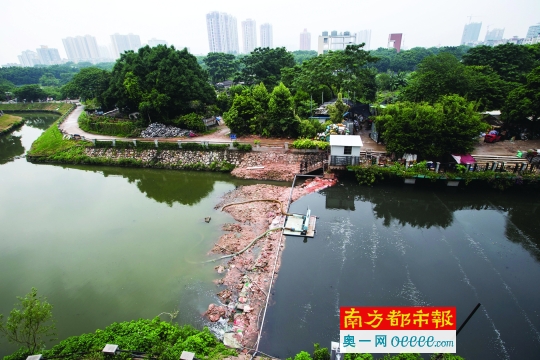 地铁A涌水质发黑并有腥臭味，与其一泥坝之隔的招村涌的水质明显好得多。