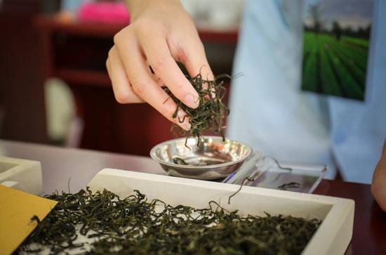 2016年英德市茶行业职业技能大赛 :茶企对话媒