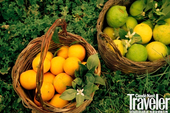 左手火山右手海水 揭秘迷人的西西里_湛江频道