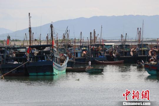 潮州三百门港渔船回港，防御台风“莫兰蒂”。　余秋松 摄