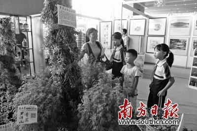 博罗县将建中草药文化基地。 南方日报记者 梁维春 摄