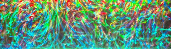 水母集体创作的画作