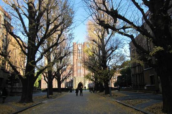 东京大学校园