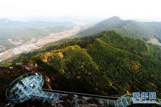 9月26日，游客在黑龙江帽儿山国家森林公园的玻璃栈道上观赏游玩。