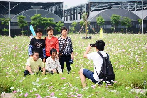 斗门魅力:国庆旅游取得经济社会效益双丰收_珠