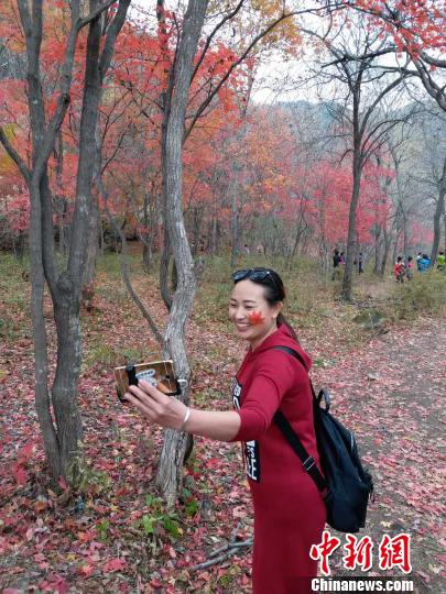 　10日，一位女游客在本溪枫叶景区拍照。　张颖 摄