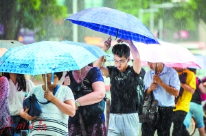 昨天，体育西路，市民雨中出行。广州日报记者陈忧子 摄