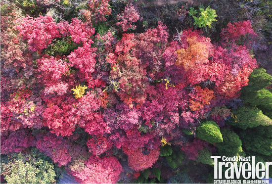 无人机航拍秋日传奇景色 镜头里成真正的调色