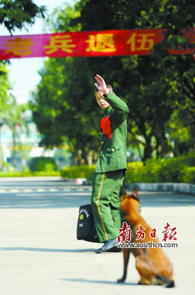武警广州警犬基地里要退伍的龙杰东向“战友”警犬挥手道别。 南方日报记者 郭智军 摄
