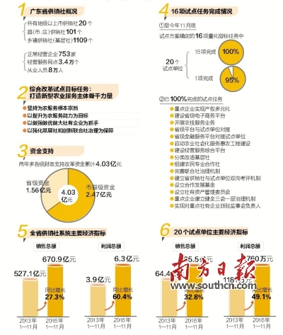 广东供销社综合改革取得丰硕成果