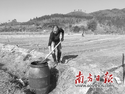 村民阮荣照灌溉农田只能从水桶中取水。