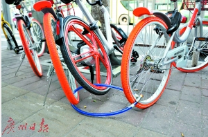 逾10万辆共享单车抢滩广州 受欢迎但安全问题