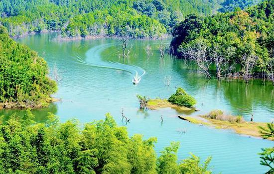 九龙湖旅游度假区