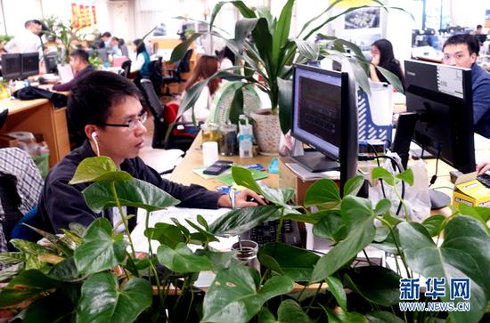 碧桂园设计师们的办公环境,体现以人为本、亲近自然的理念。新华网 崔凌云摄