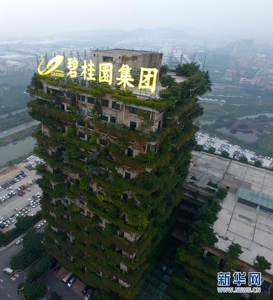 1月4日,采风团走进碧桂园集团总部。图为航拍总部大楼,整栋楼采用垂直绿化生态设计。新华网发