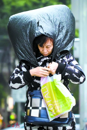 昨日气温急降，北风大作，市民把塑料袋套在头上遮雨。 　　广州日报记者陈忧子 摄