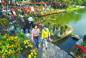 昨日，市民在水上花市赏花、买花、购置年货。 广州日报记者莫伟浓 摄