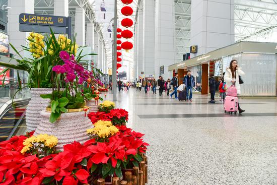 广州白云机场客流高峰不减 航站楼新春氛围浓