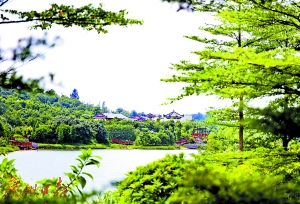 有望成为国家级湿地公园的花都湖。(资料图) 广州日报全媒体记者高鹤涛 摄