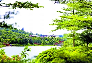 有望成为国家级湿地公园的花都湖。（资料图） 广州日报全媒体记者高鹤涛 摄