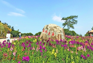 广州首个环境总规首次划定生态红线 纳入干部