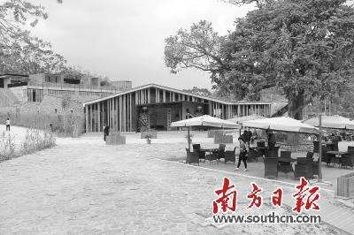 横河镇总人口_博罗县横河镇图片(2)