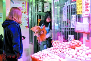 员村市场，活禽摊档已正常开市迎客。