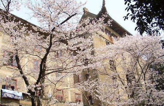 旬全国各地迎来了春暖花开的赏花佳期_中山频