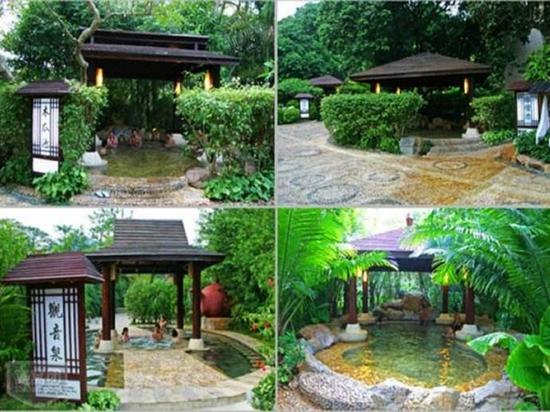 春季旅游广州周边踏青赏花游绝对火爆