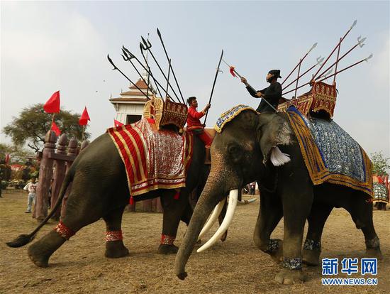 3月13日，在泰国大城，两头大象表演节目。当日，泰国大城举办多种活动庆祝一年一度的大象日。 新华社/欧新