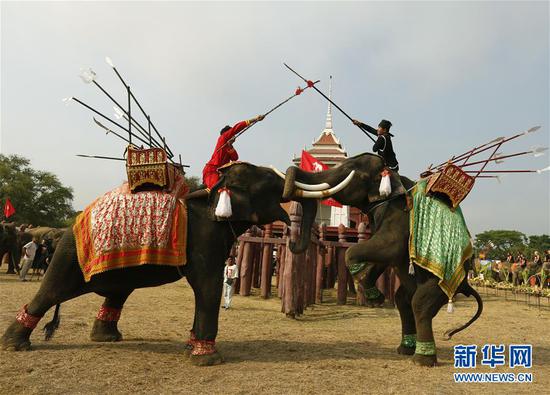 3月13日，在泰国大城，两头大象表演节目。当日，泰国大城举办多种活动庆祝一年一度的大象日。 新华社/欧新