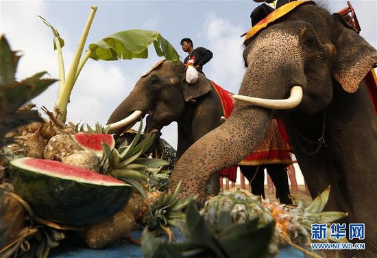 泰国大城举办多种活动庆祝一年一度大象日_湛