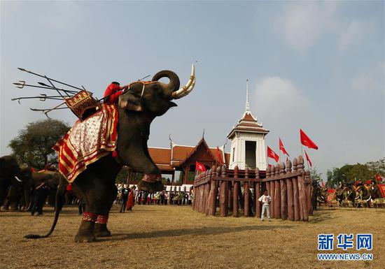 3月13日，在泰国大城，一头大象表演节目。当日，泰国大城举办多种活动庆祝一年一度的大象日。 新华社/欧新