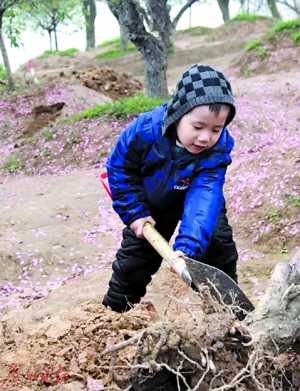 小朋友植树